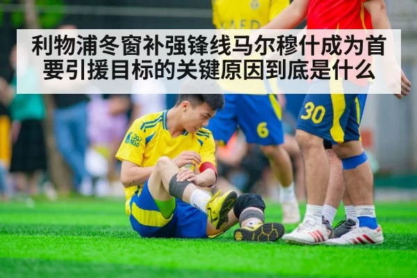 利物浦冬窗补强锋线马尔穆什成为首要引援目标的关键原因到底是什么