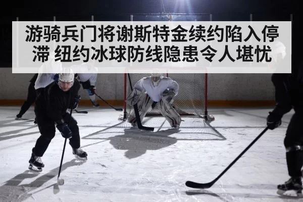 ice hockey rink action